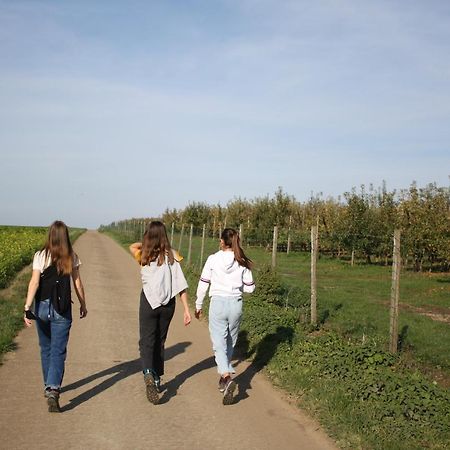 Hoeve Jadoul Gingelom Exteriér fotografie