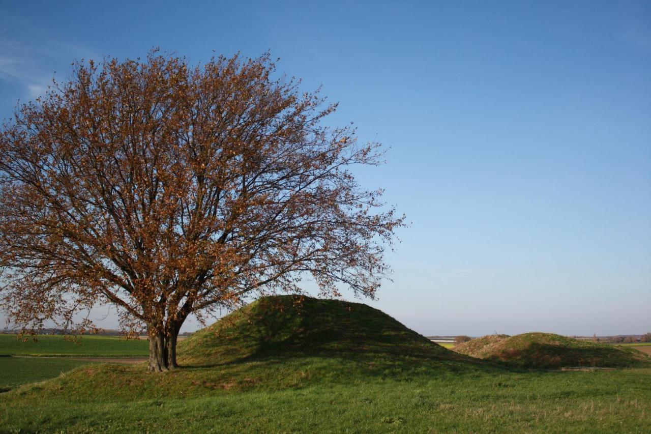 Hoeve Jadoul Gingelom Exteriér fotografie