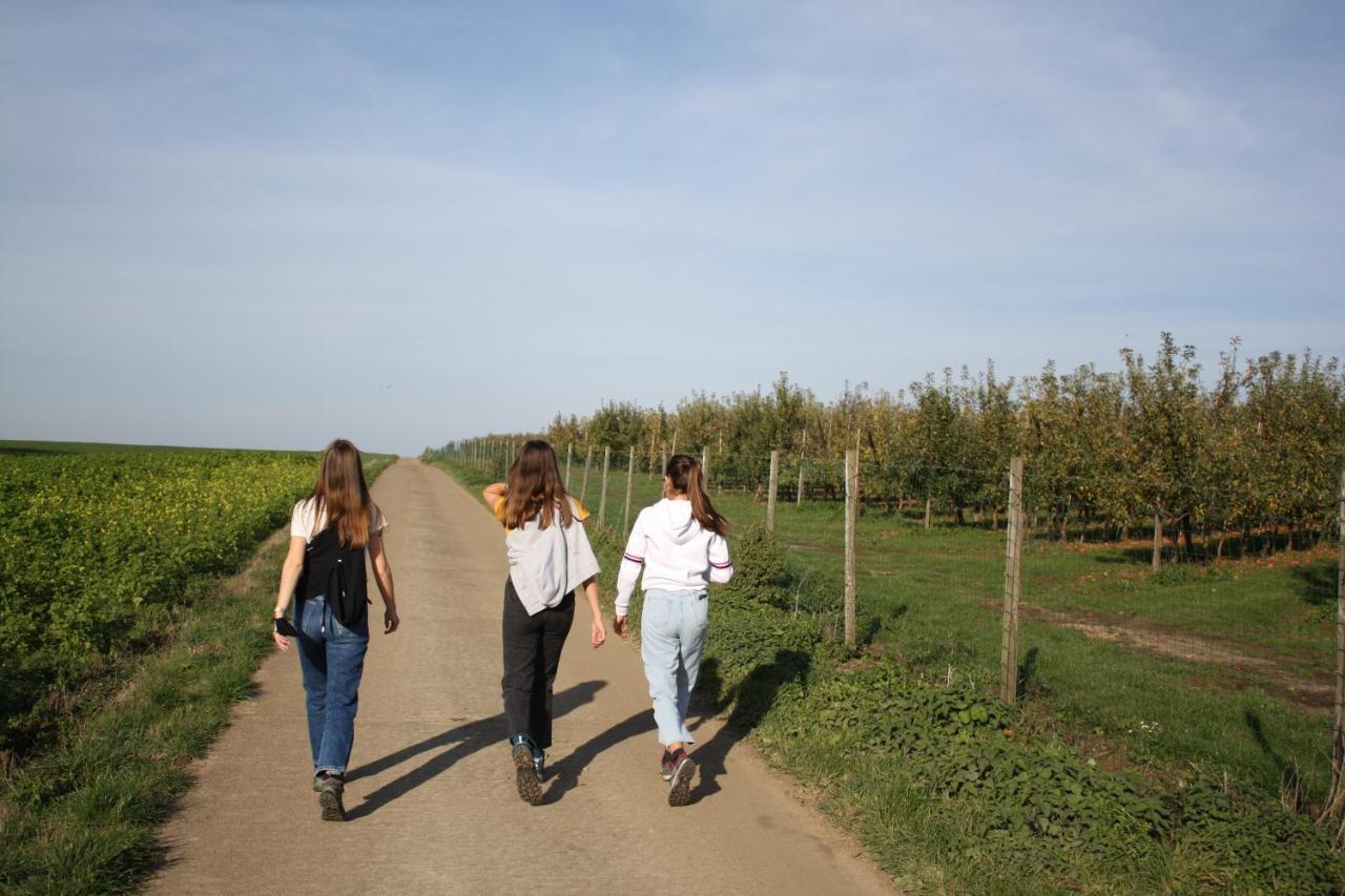 Hoeve Jadoul Gingelom Exteriér fotografie