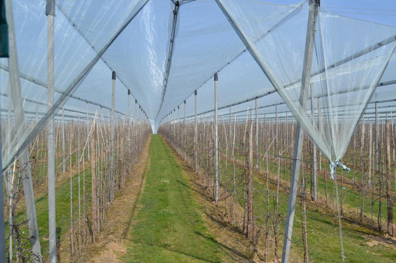Hoeve Jadoul Gingelom Exteriér fotografie