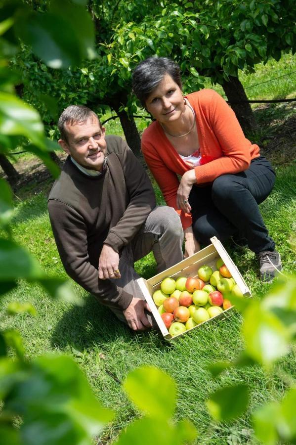 Hoeve Jadoul Gingelom Exteriér fotografie